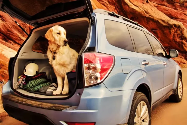 Travel Car Dog Hammock