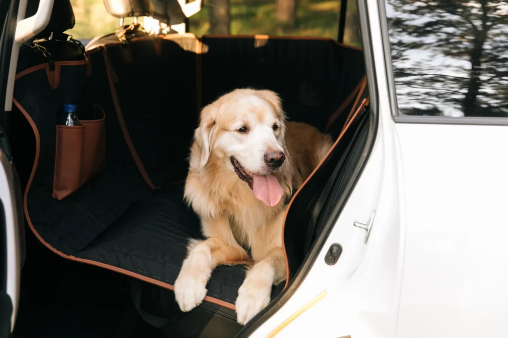 Pet Hammock for Cars