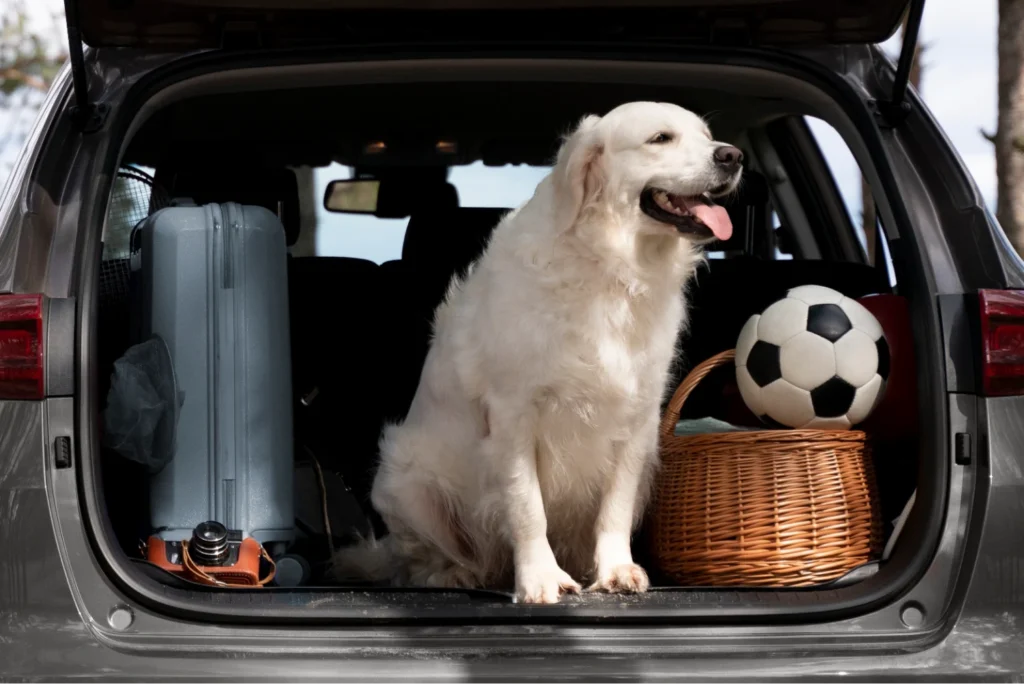Travel Car Dog Hammock