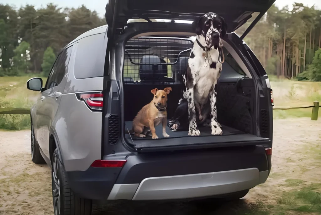 Pet Hammock for Cars
