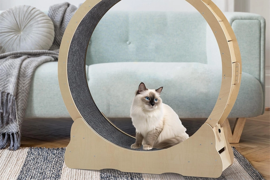 Natural Wooden Cat Wheel for Exercise