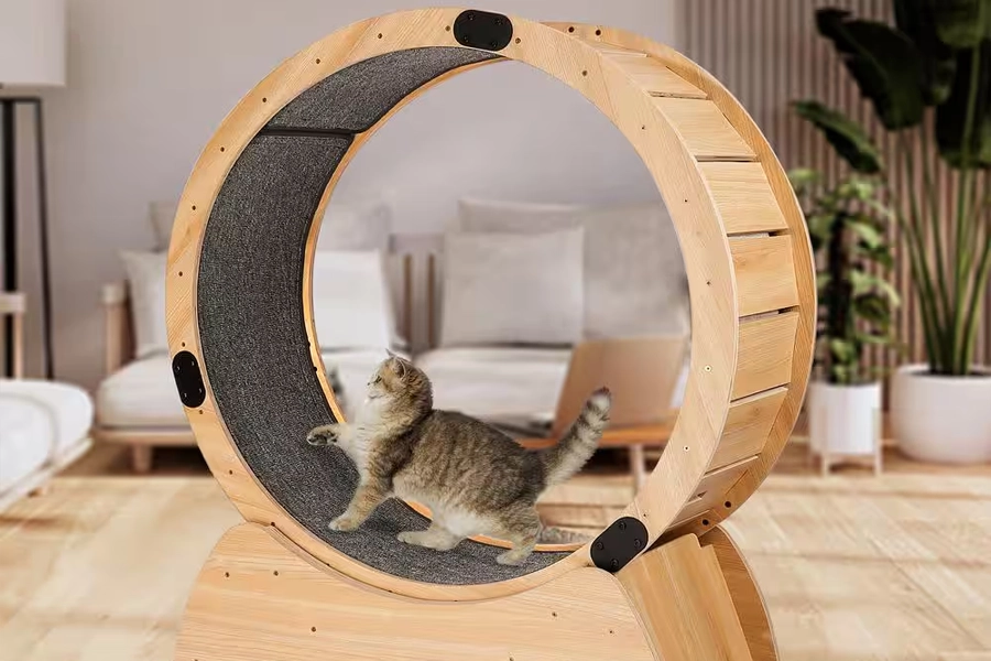 Natural Wooden Cat Wheel for Exercise