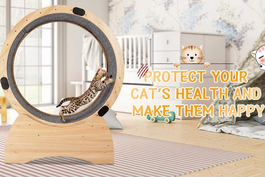 All-Natural Cat Fitness Wheel