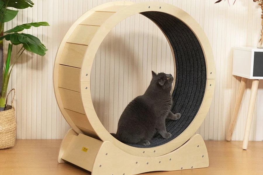 Eco-Friendly Cat Exercise Wheel