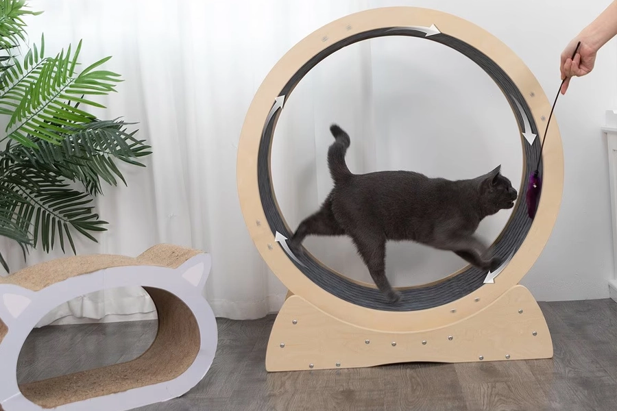 Stylish Round Cat Running Wheel
